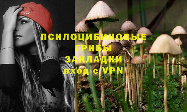 круглые Гусь-Хрустальный