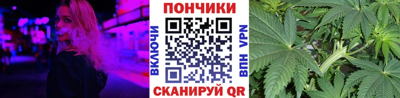Бошки марихуана семена  где продают наркотики  Вилючинск 